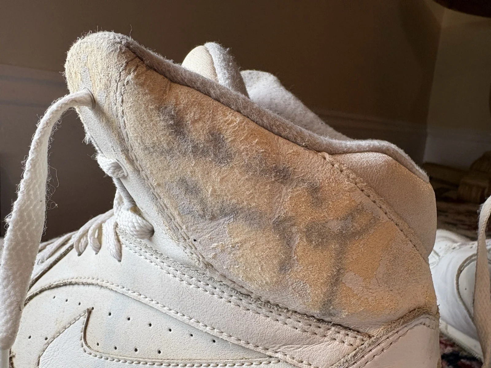 Steven Seagal — Steven Seagal Signed Autograph Airforce One Sneakers Beckett, изображение 2