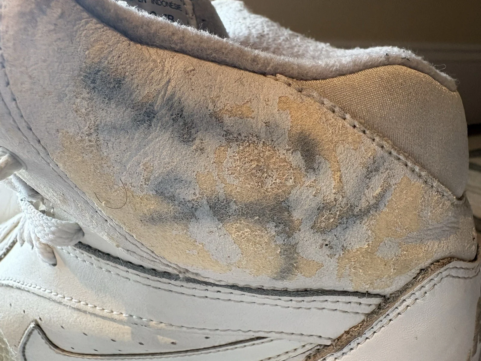 Steven Seagal — Steven Seagal Signed Autograph Airforce One Sneakers Beckett, изображение 3