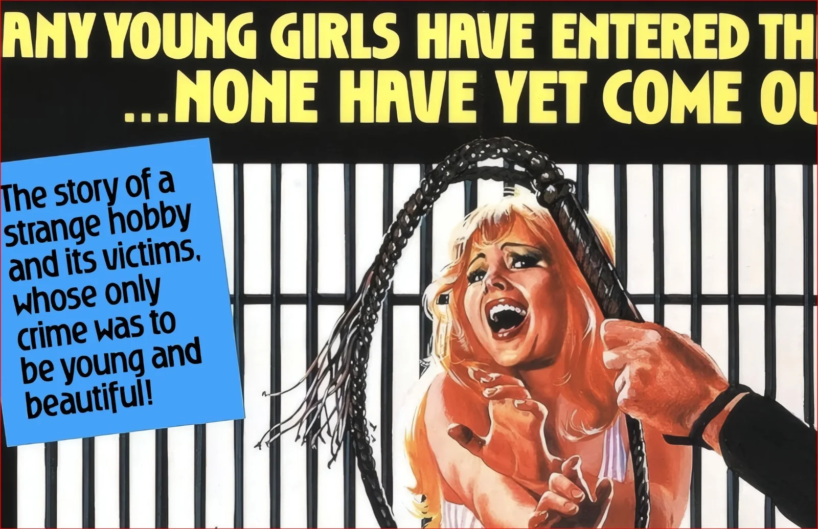 House Of Whipcord 1974 Pete Walker Horror - Restored 27.2" x 41" US One Sheet, изображение 3