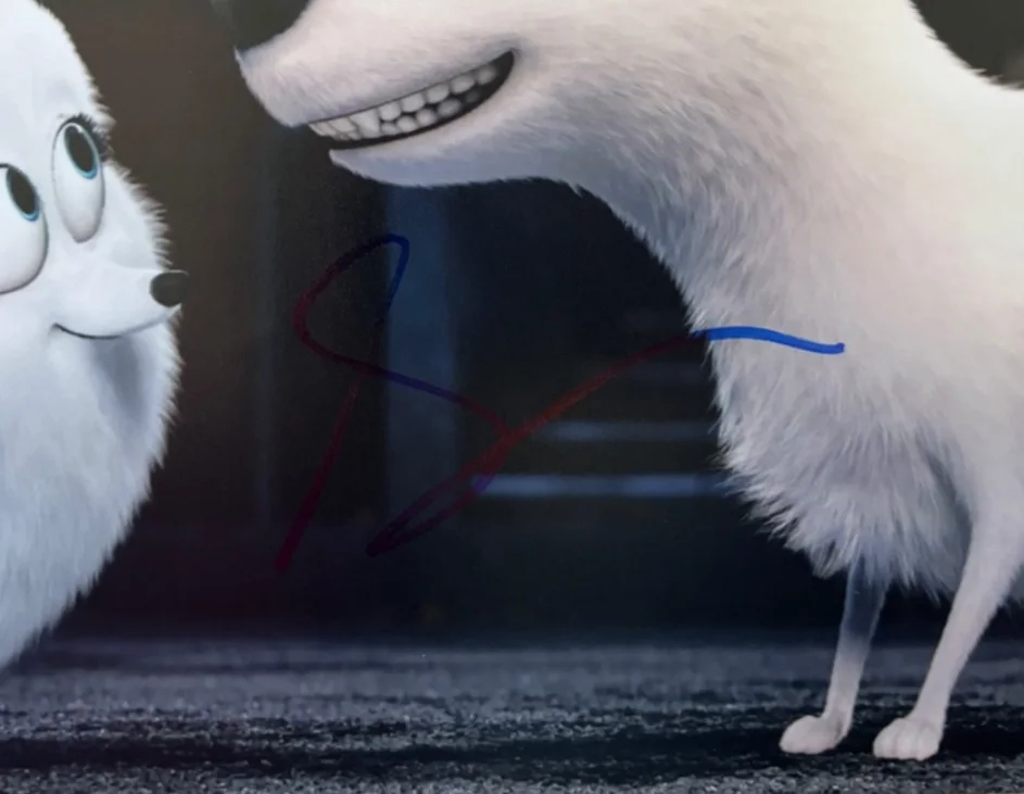 JENNY SLATE SIGNED GIDGET 8X10 PHOTO THE SECRET LIFE OF PETS VOICE ACTRESS BAS B, изображение 2
