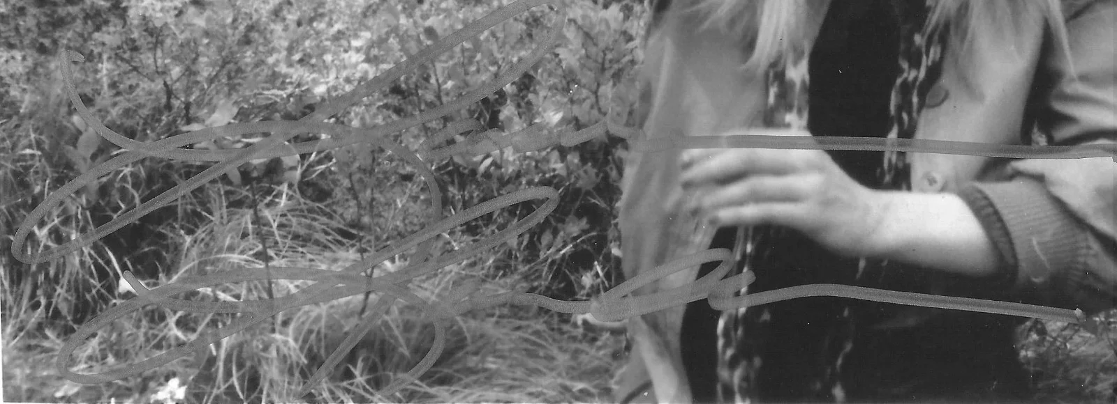 LAURENE LANDON AUTOGRAPH 8X10 ACTRESS SEE SCAN AN DESCRIPTIONS B4U BID 20, изображение 2