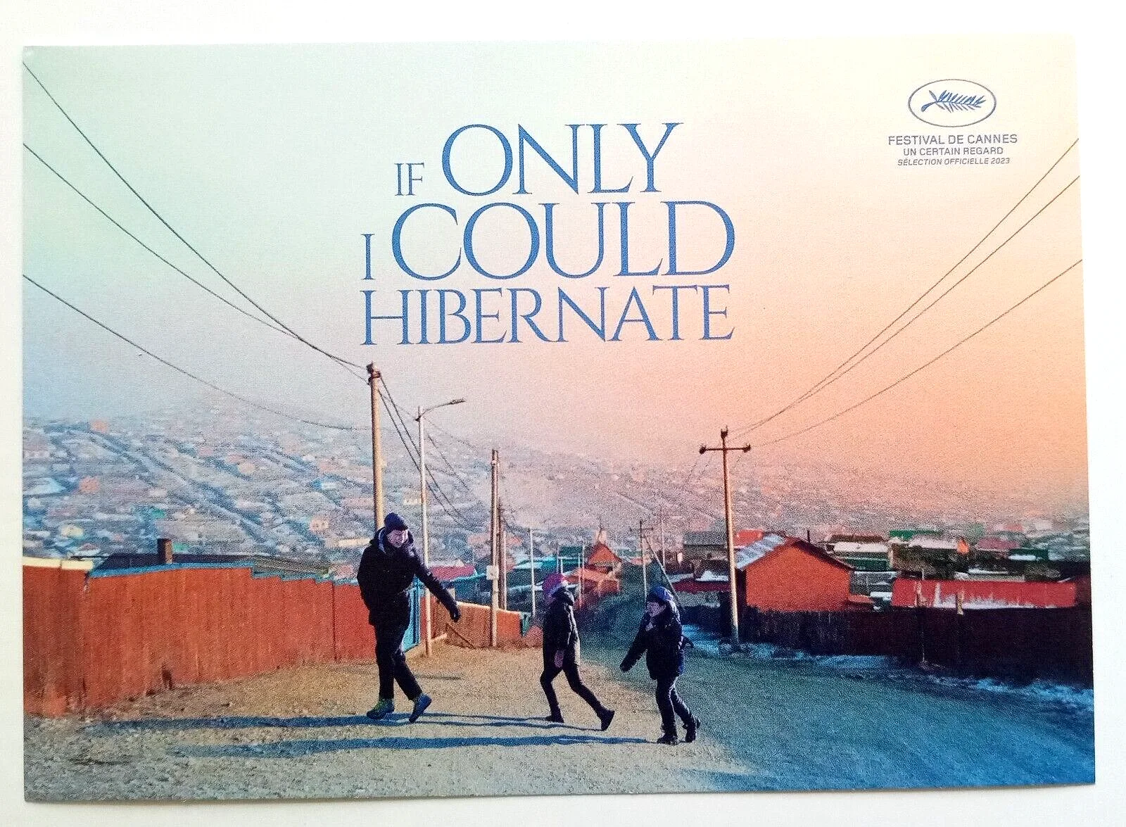 If Only I Could Hibernate Film Postcards x 2 - Mongolia Zoljargal Purevdash, image 3