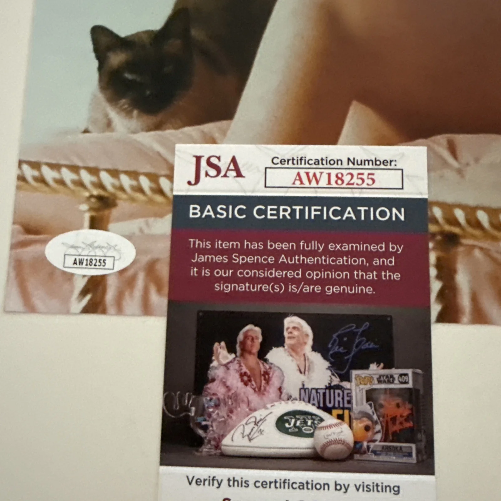 Kim Novak Stunning Autograph SIGNED PHOTO JSA COA 8x10 Bare, изображение 3