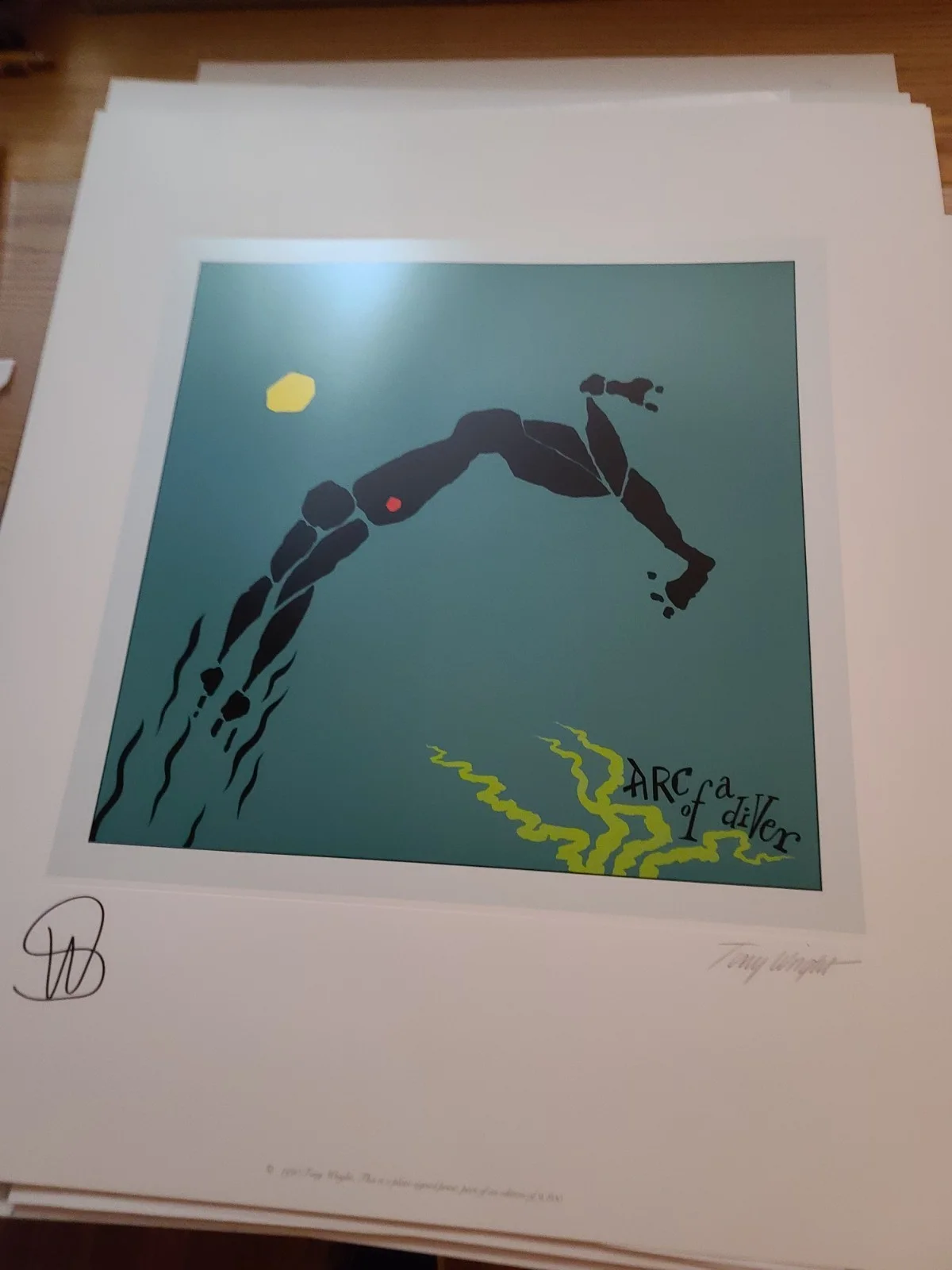 Steve Winwood Hand Signed Lithograph ARC OF A DIVER Autographed, изображение 2
