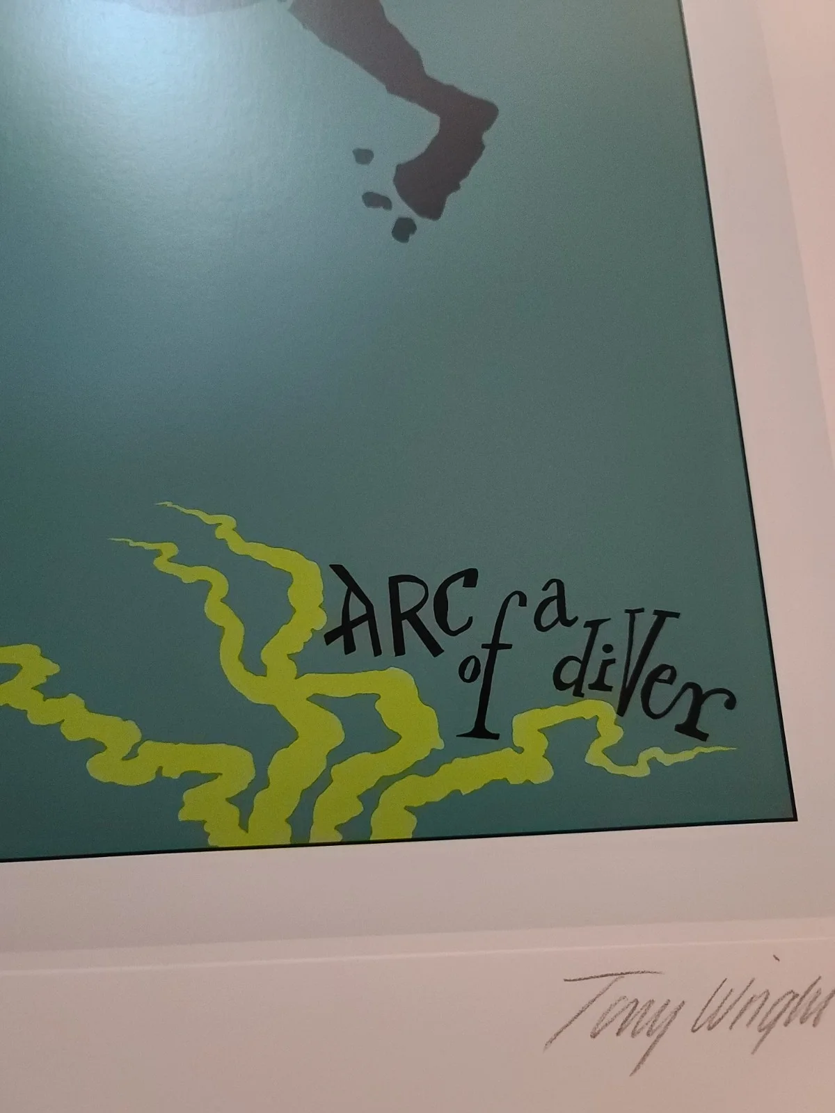 Steve Winwood Hand Signed Lithograph ARC OF A DIVER Autographed, изображение 4