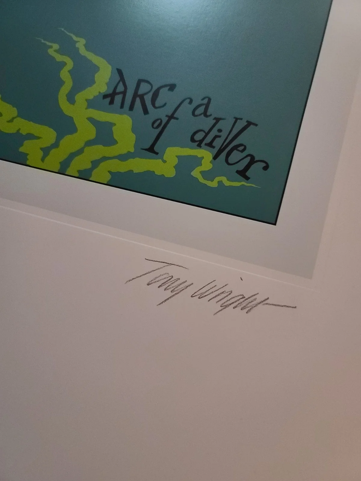 Steve Winwood Hand Signed Lithograph ARC OF A DIVER Autographed, изображение 5