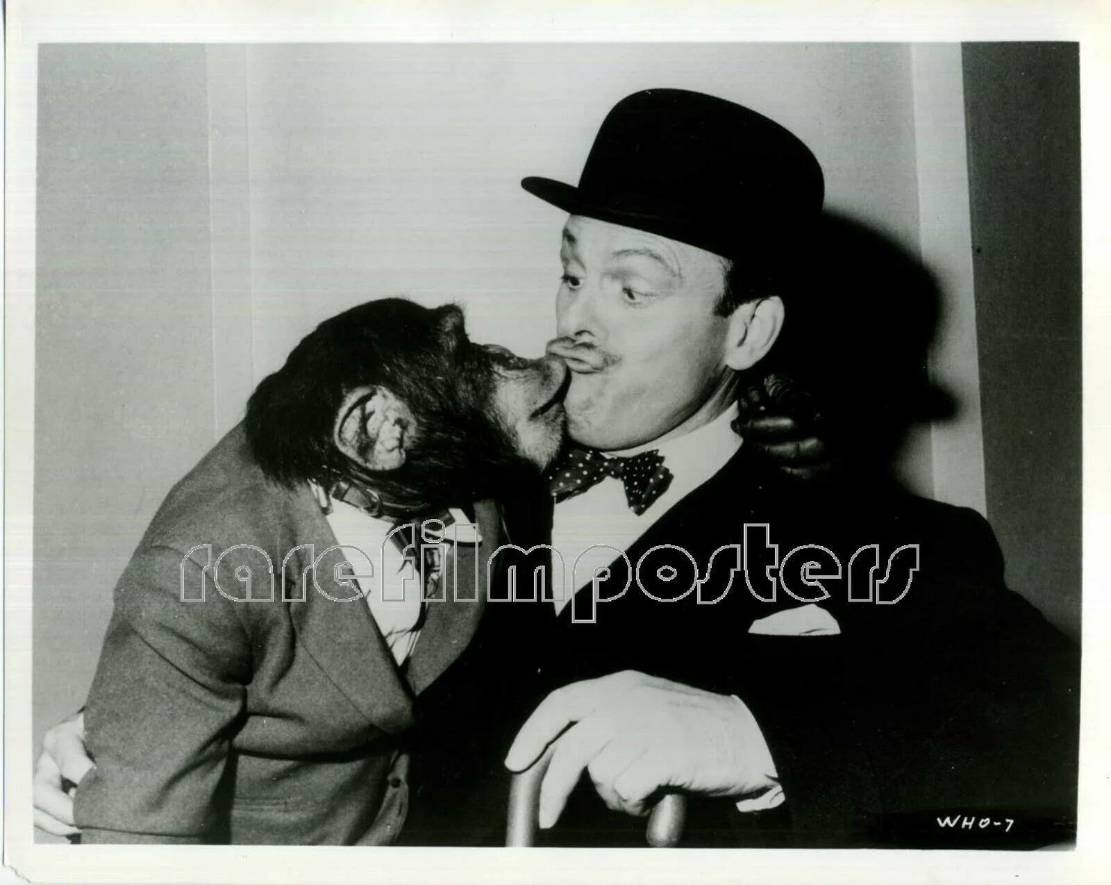 A MATTER OF WHO 1961 Terry-Thomas, Sonja Ziemann, Alex Nicol 14 10x8 STILLS, изображение 2