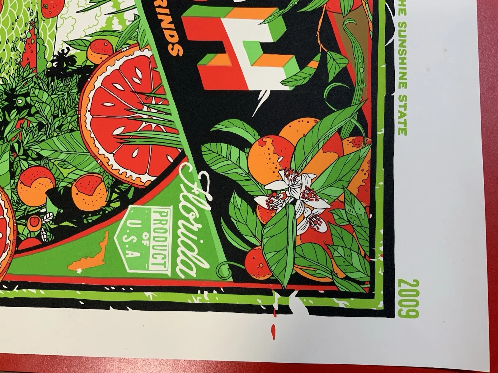 PHISH Rare Autographed 2009 New Years Official Concert Poster Signed By Band #69, image 4
