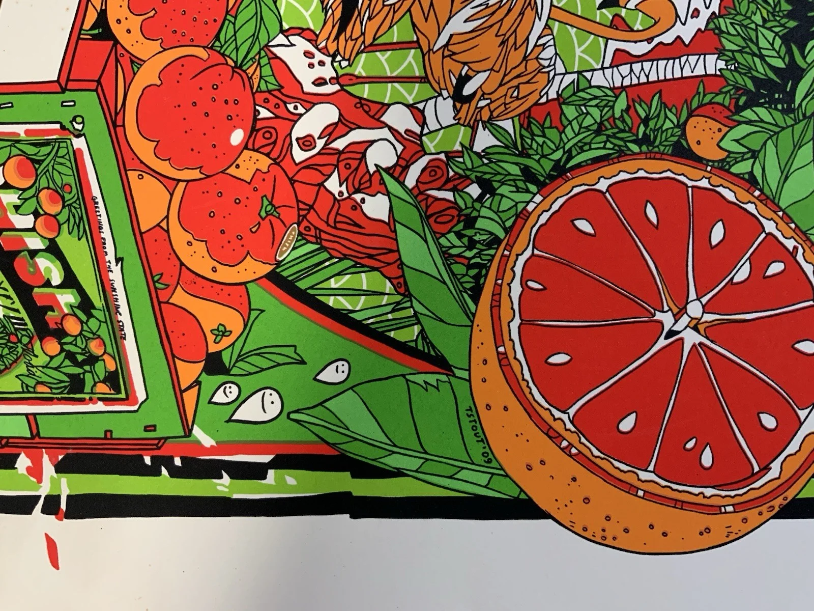 PHISH Rare Autographed 2009 New Years Official Concert Poster Signed By Band #69, image 5