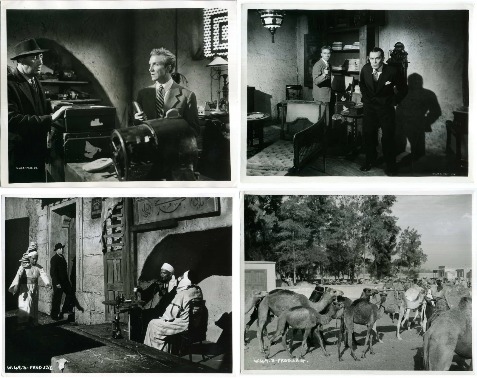 CAIRO ROAD 1950 Eric Portman, Harold Lang, Grégoire Aslan 14 10x8 STILLS, image 4