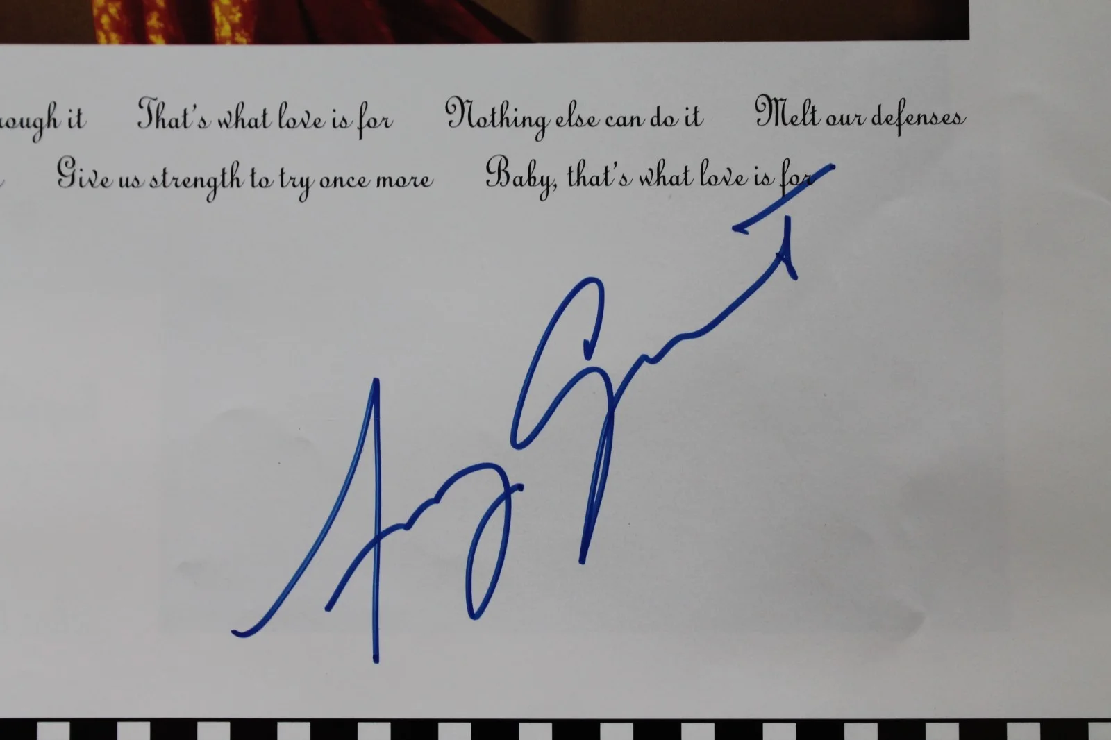 AMY GRANT 1991-92 Heart In Motion Tour Program - Signed/Autographed with extra, image 3