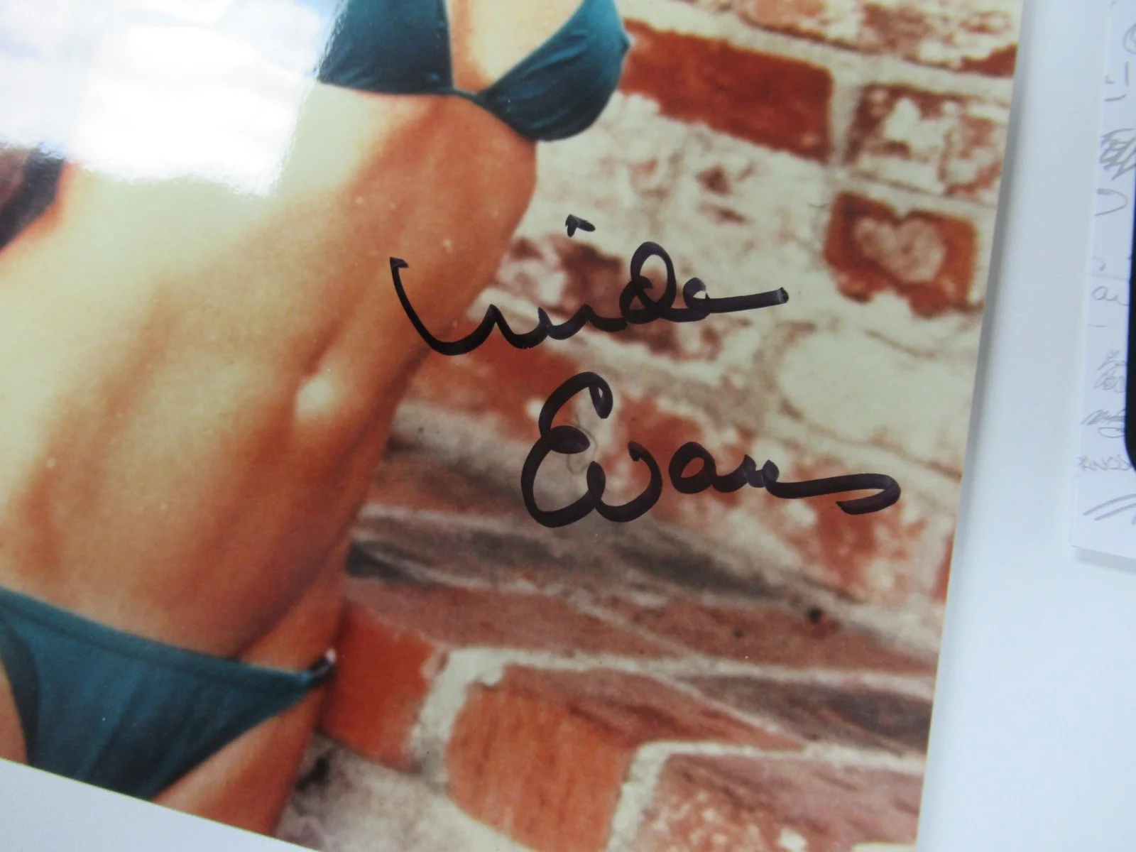 Linda Evans — Linda Evans Signed 8x10 Photo Autograph JSA Authenticated, image 2