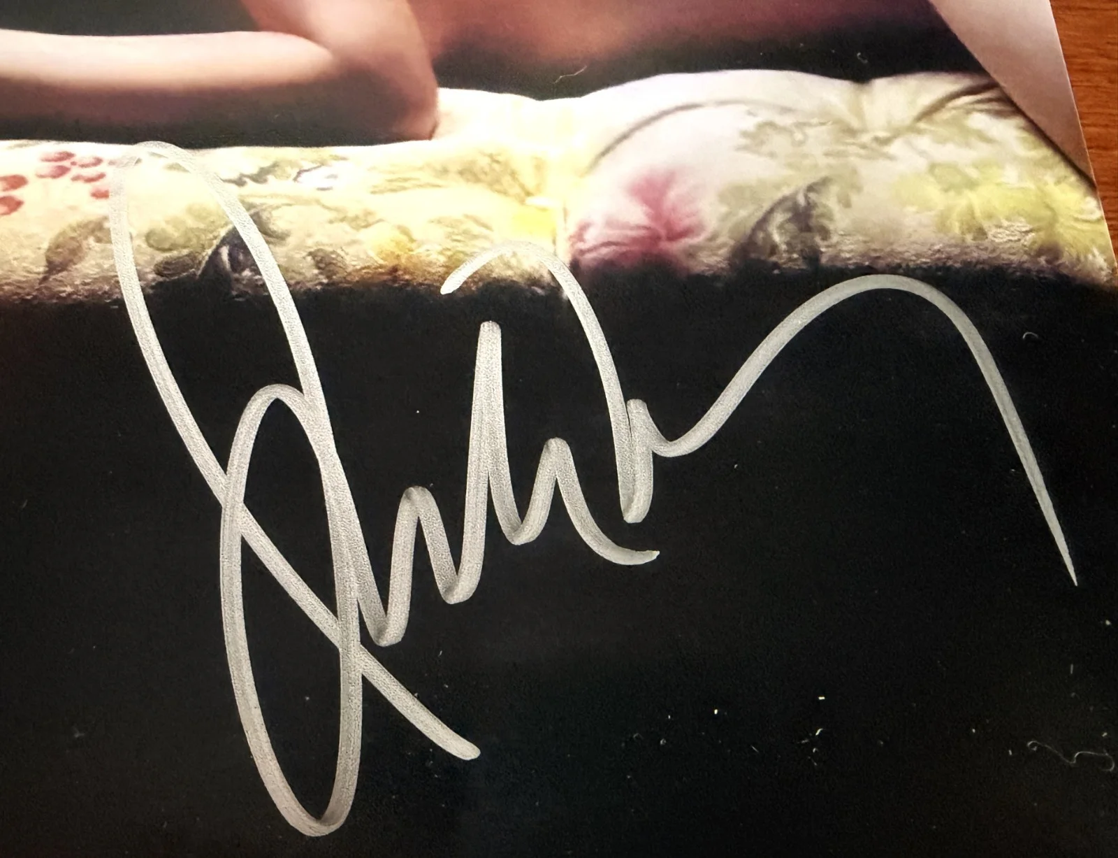 Julianne Moore Sirens signed 8x10 photo read description, image 2