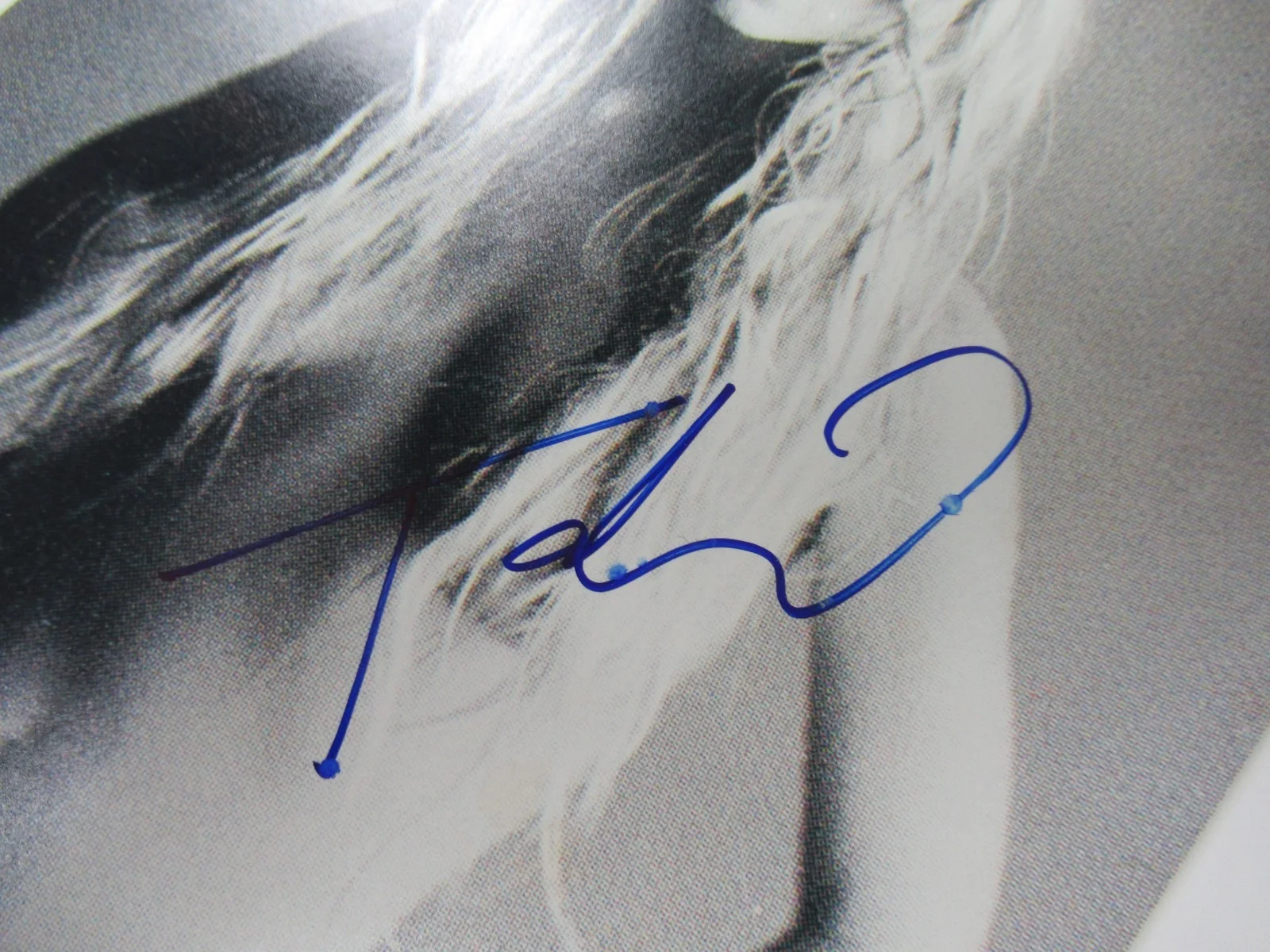 Tara Reid — Tara Reid Signed Autograph 8 x 10 Photo COA JSA Auth., image 2