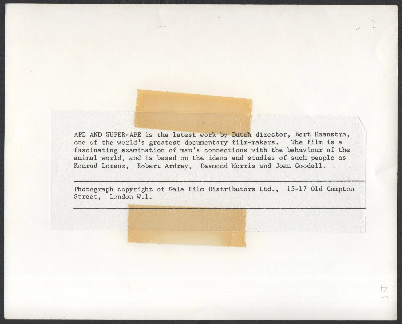 APE AND SUPER APE 1972 Bert Haanstra camera Documentary STILL, image 2