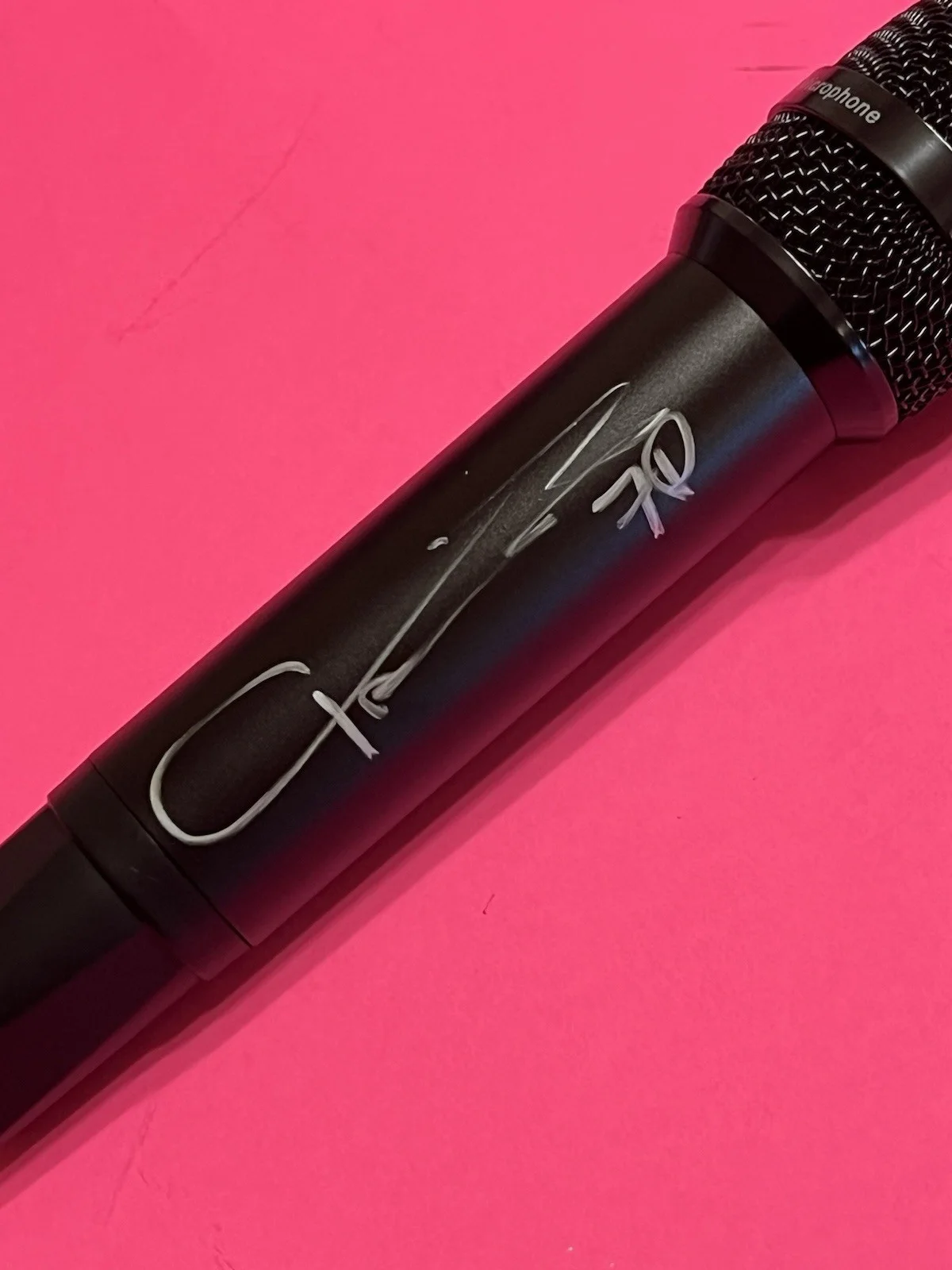 TAIME DOWNE FASTER PUSSYCAT SIGNED AUTOGRAPHED MICROPHONE B *EXACT PROOF*, image 3