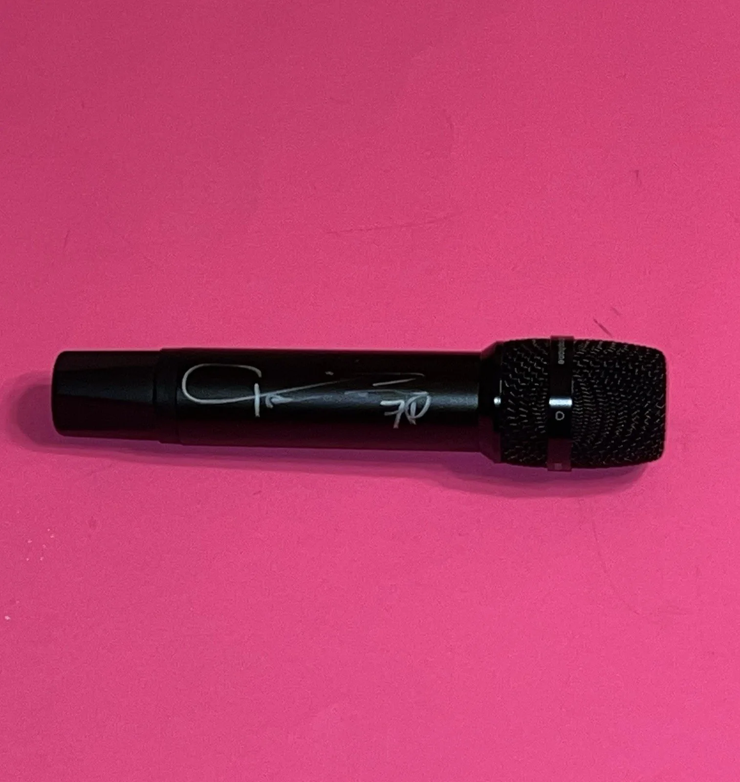 TAIME DOWNE FASTER PUSSYCAT SIGNED AUTOGRAPHED MICROPHONE B *EXACT PROOF*, image 4