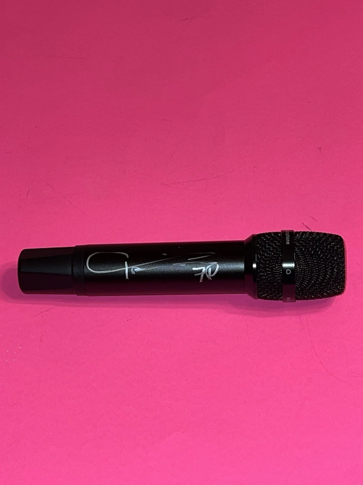 TAIME DOWNE FASTER PUSSYCAT SIGNED AUTOGRAPHED MICROPHONE B *EXACT PROOF*, image 5