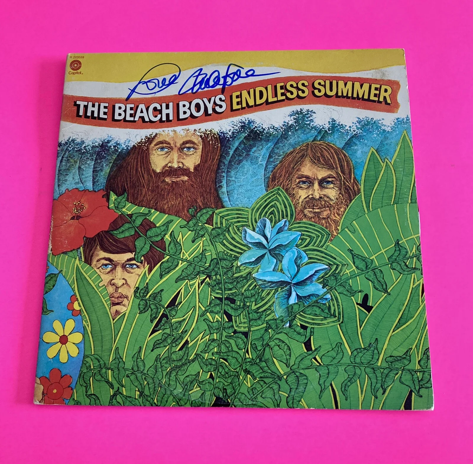 THE BEACH BOYS MIKE LOVE SIGNED ENDLESS SUMMER VINYL LP *EXACT PROOF*, image 2