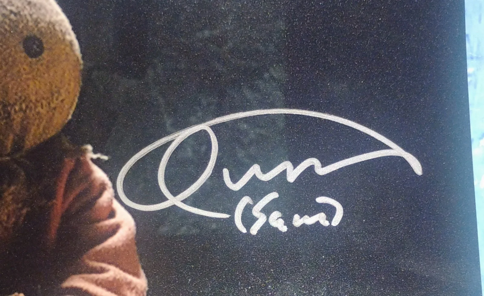 Quinn Lord Hand Signed Autograph 8x10 Photo JSA COA Trick r Treat NO US TARIFFS, image 3