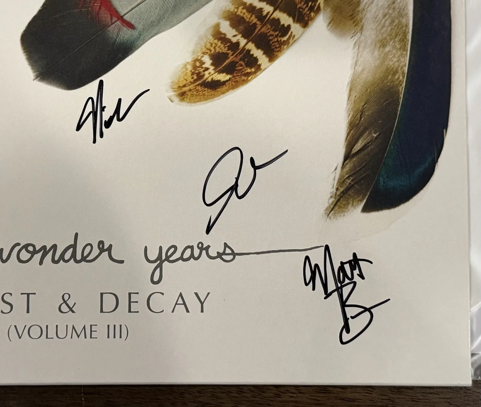 The Wonder Years SIGNED Burst & Decay Vol. 3 LP Vinyl Record Autographed Record, изображение 3
