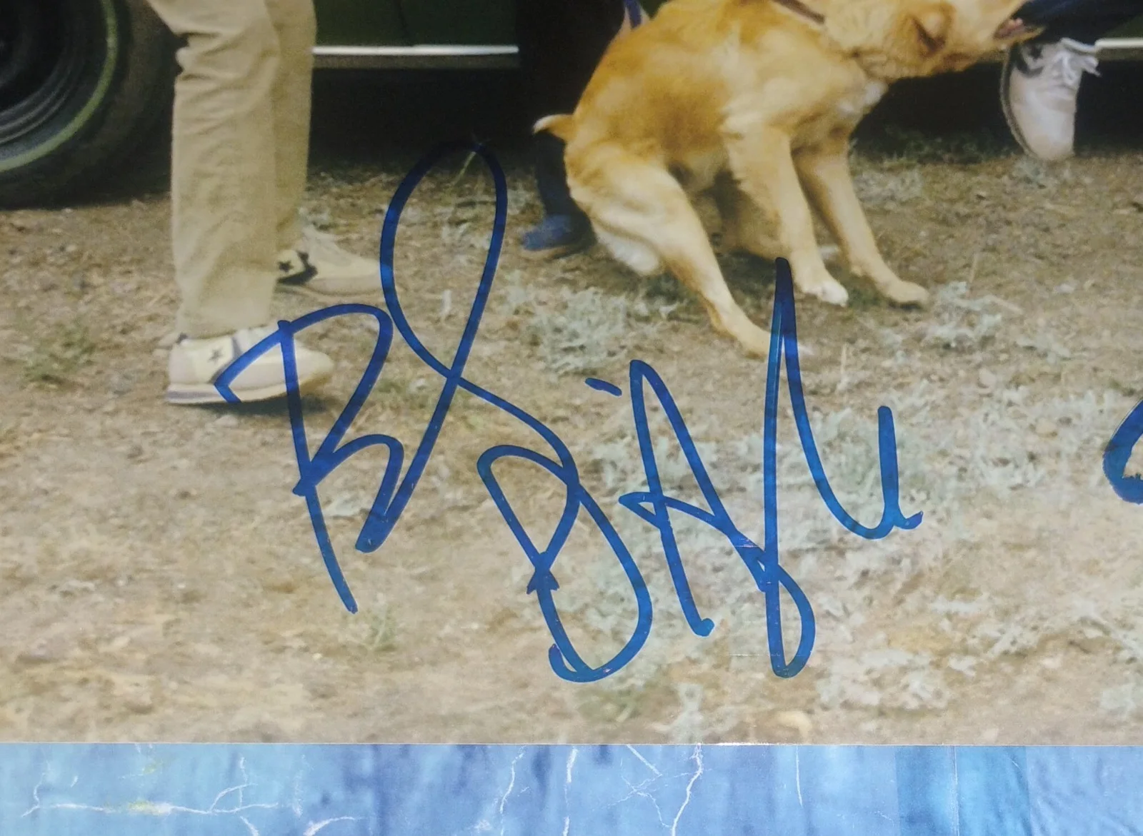 Beverly D'Angelo & Chevy Chase Hand Signed 8x10 Photo COA - NO US TARIFFS, image 4