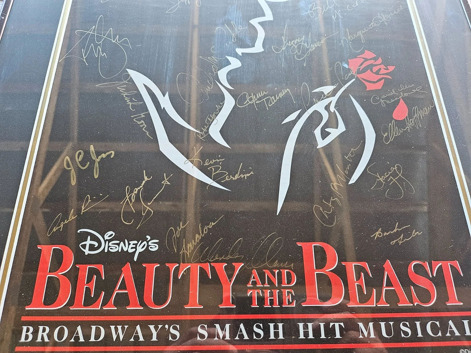 Framed Broadway Poster Final Show Beauty & The Beast Signed Cast 2007 - 19"x27", изображение 5