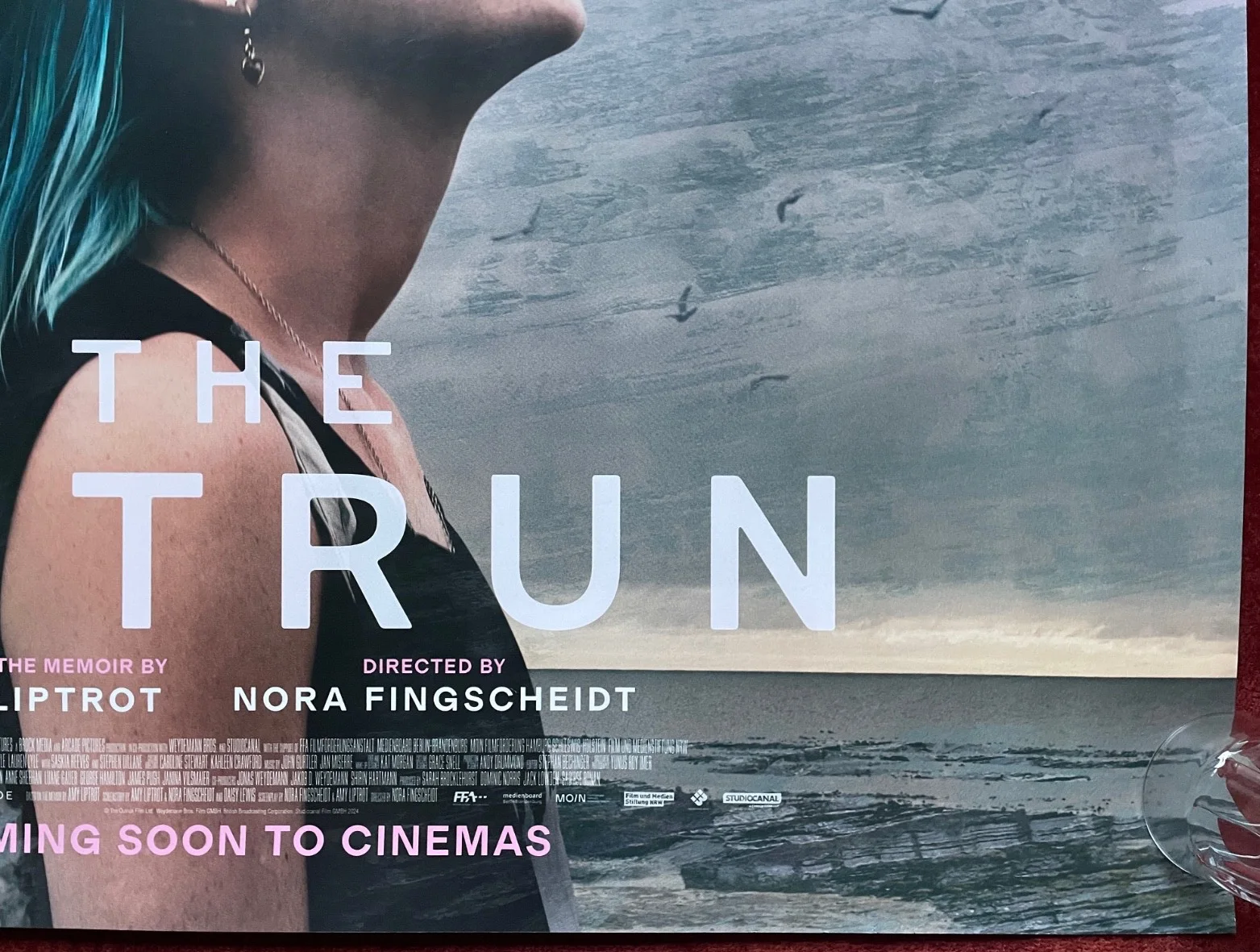THE OUTRUN (2024) Original UK Quad Movie Poster Saoirse Ronan, изображение 5