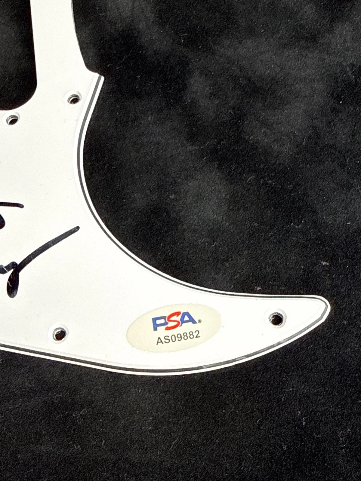Jeremy Allen White — Jeremy Allen White + 3 Autos Signed Guitar Pickguard Springsteen Movie PSA, изображение 2