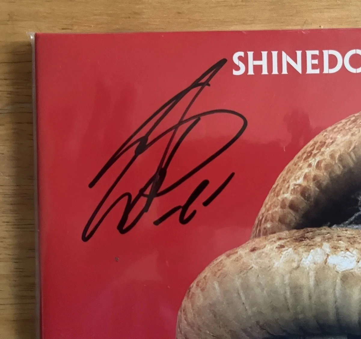 Shinedown Threat To Survival Autographed Vinyl, изображение 3