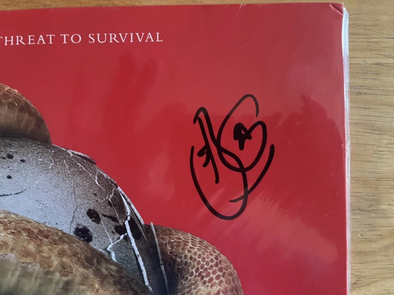 Shinedown Threat To Survival Autographed Vinyl, изображение 4
