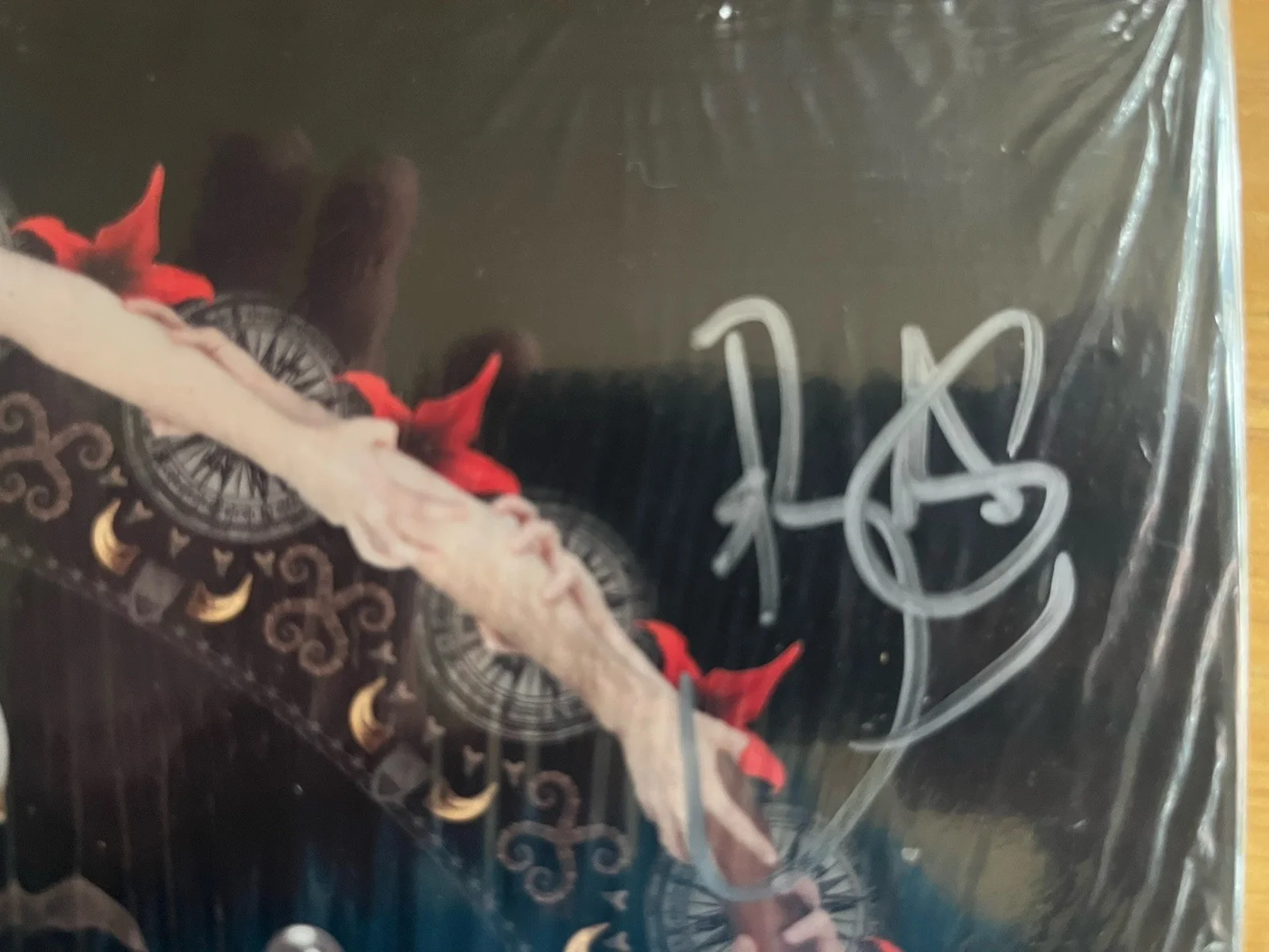 Shinedown Amaryllis Autographed Vinyl, image 4