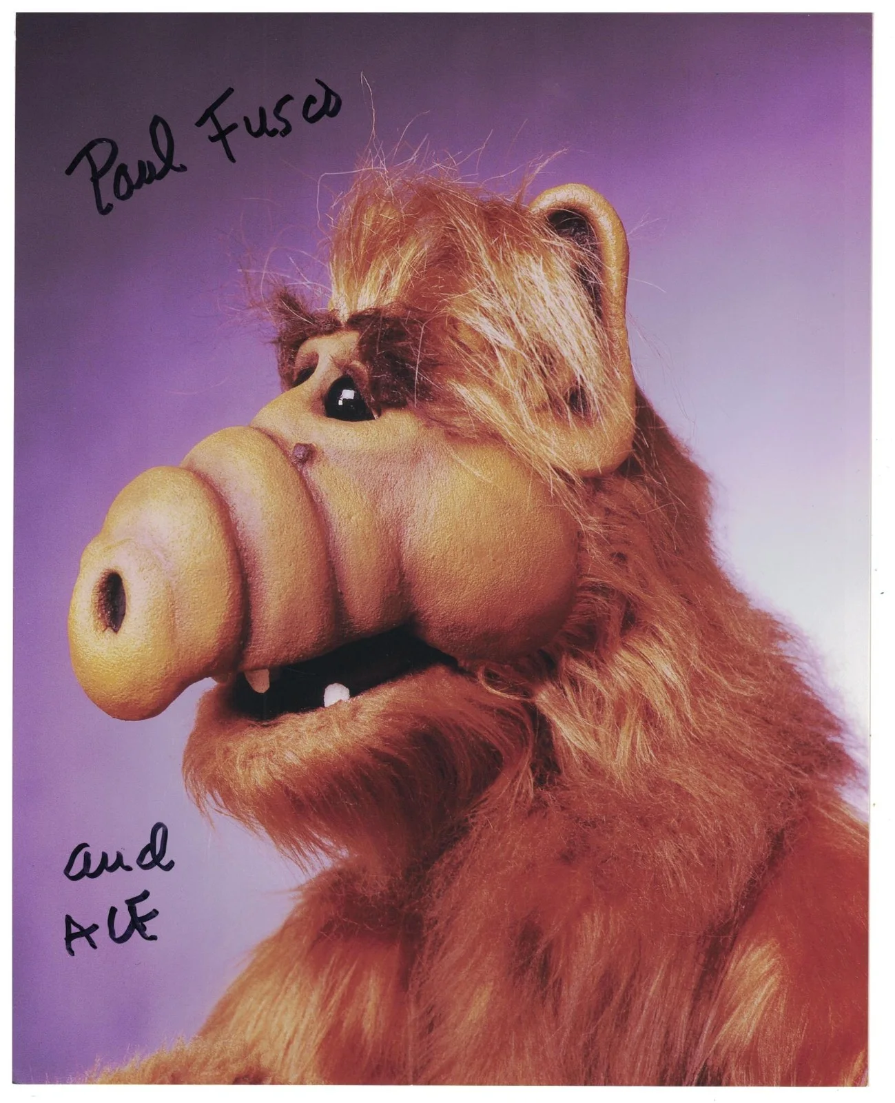 Paul Fusco — Paul Fusco Signed Autographed 8 x 10 Photo Actor Puppeteer ALF B