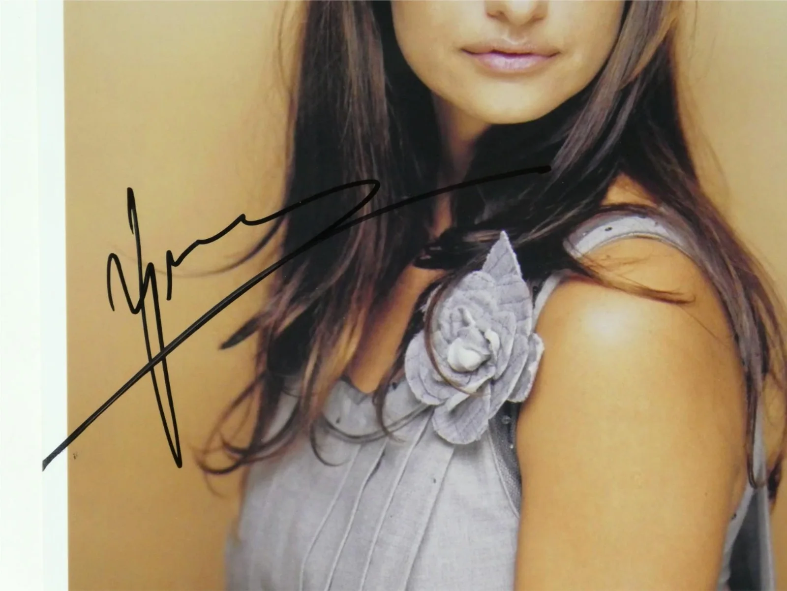 Penelope Cruz — Penelope Cruz Signed 8x10 Photo Autographed JSA COA, image 3