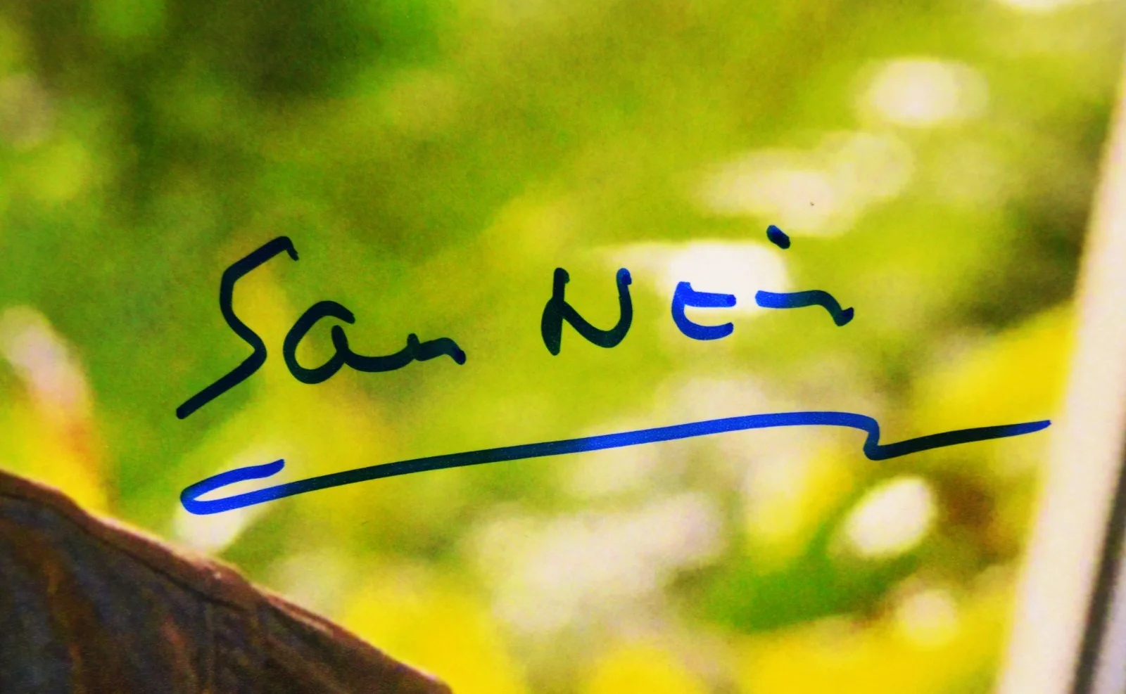 SAM NEILL Signed Autographed JURASSIC PARK "Dr. Alan Grant" 16x20 Photo PSA/DNA, изображение 2
