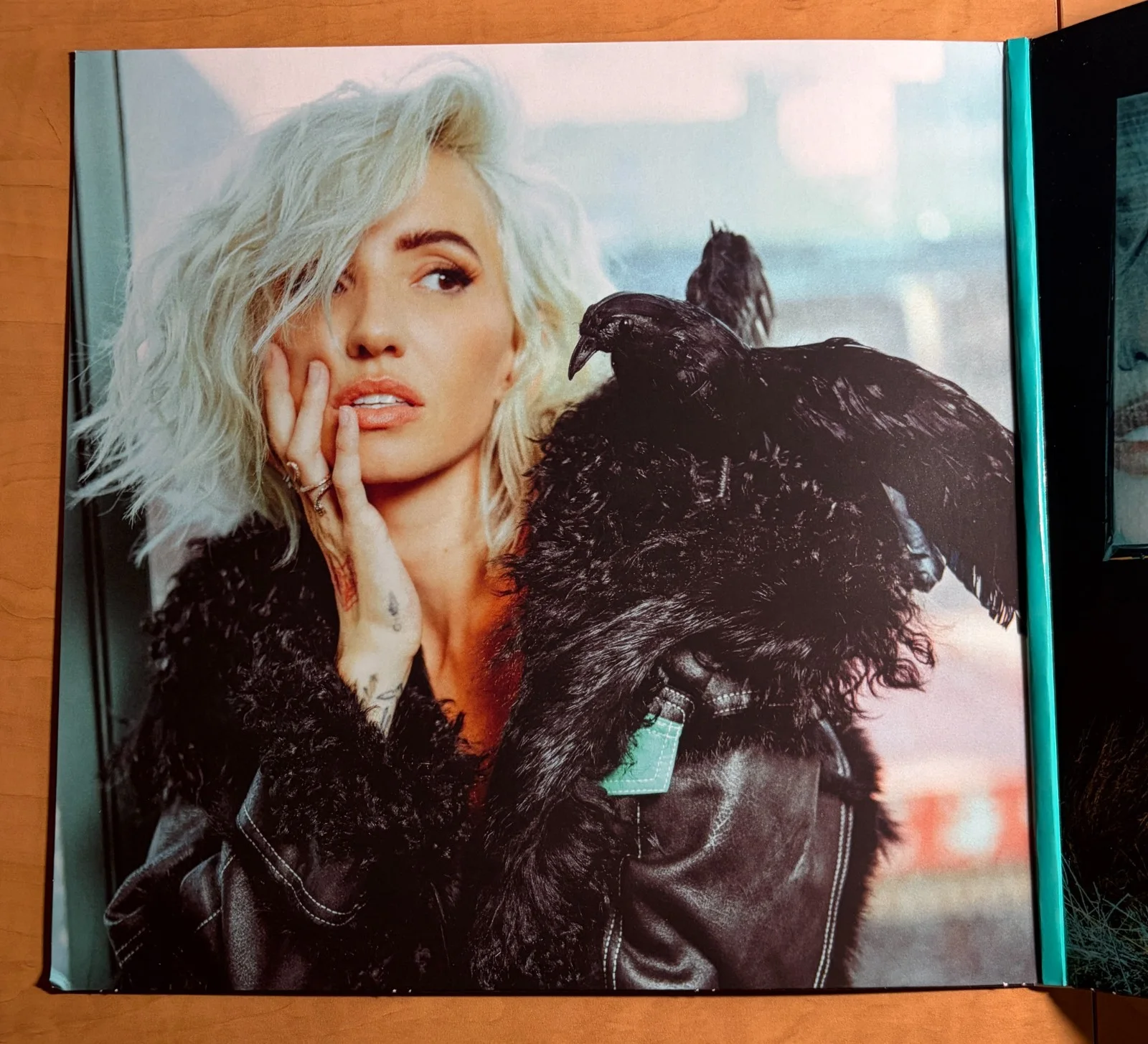 LIGHTS - A6 SIGNED Orange Crush Vinyl LP NM/VG+ Autographed, image 3