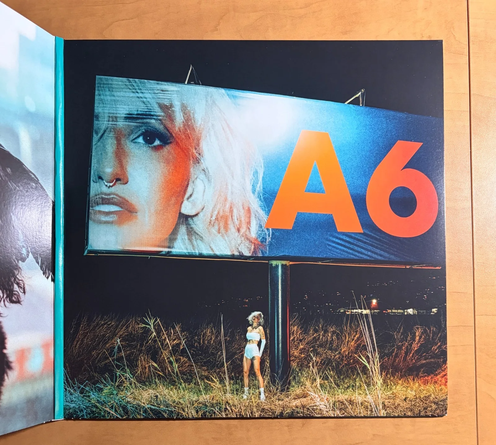 LIGHTS - A6 SIGNED Orange Crush Vinyl LP NM/VG+ Autographed, image 4