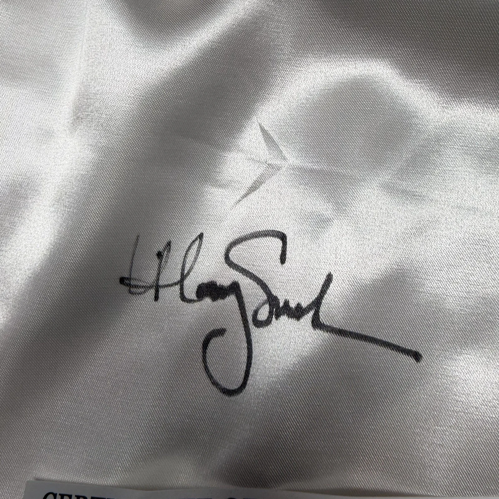 Hilary Swank — Hilary Swank Autographed Million Dollar Baby Boxing Trunks ASI Proof, image 2