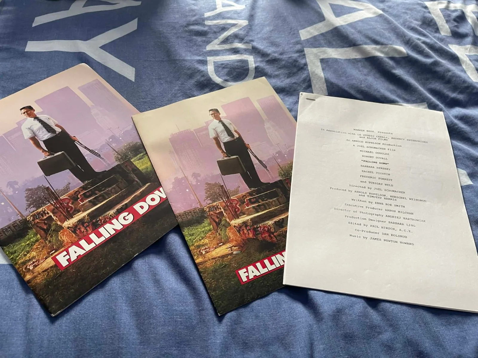 Falling Down - USA Press Kit, image 2