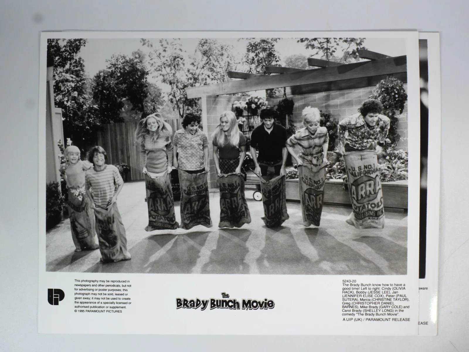 The Brady Bunch Movie Press Photos / Lobby Cards Set of 4, изображение 4