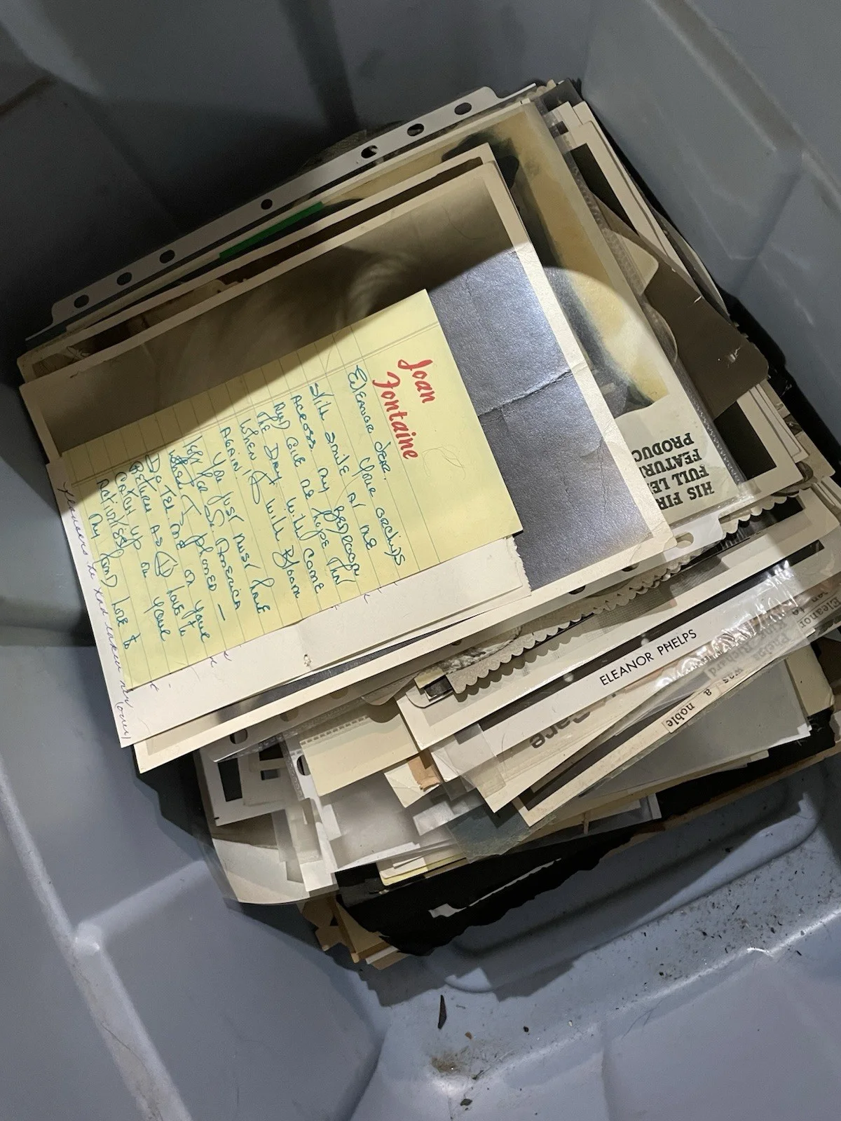 Eleanor Phelps — Entire Lot Of Eleanor Phelps Personal Pictures, Art Work, Signatures Etc, изображение 2