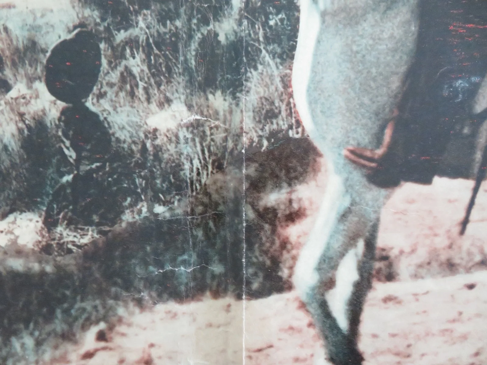 Ballad of a Gunfighter Italian Fotobusta Poster Marty Robbins Traveler 1964, изображение 2