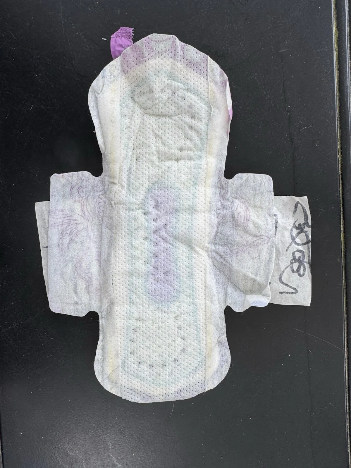Sharon Needles Drag Queen Signed Pad, изображение 2