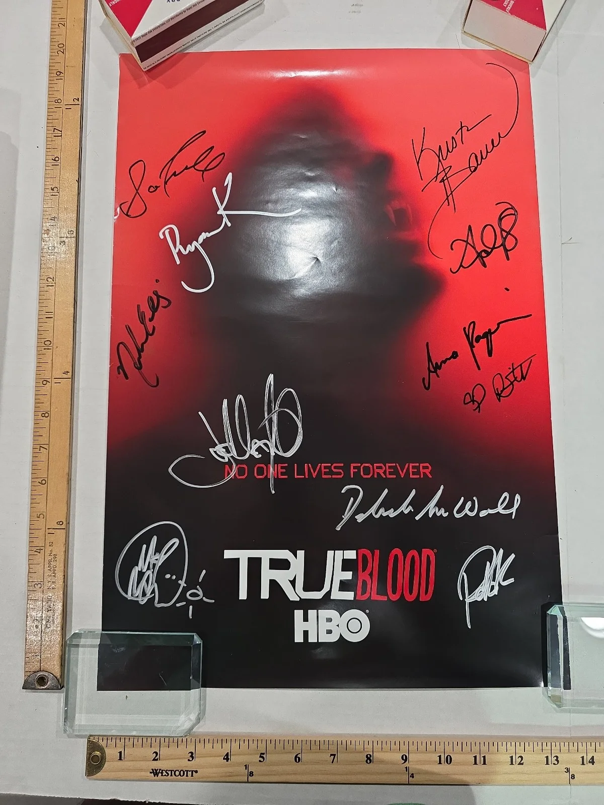 Anna Paquin, Nelsan Ellis, Joe Manganiello — True Blood Signed Cast 13X20 Poster 11 Autos Paquin Ellis Woll Bauer Etc JSA LOA