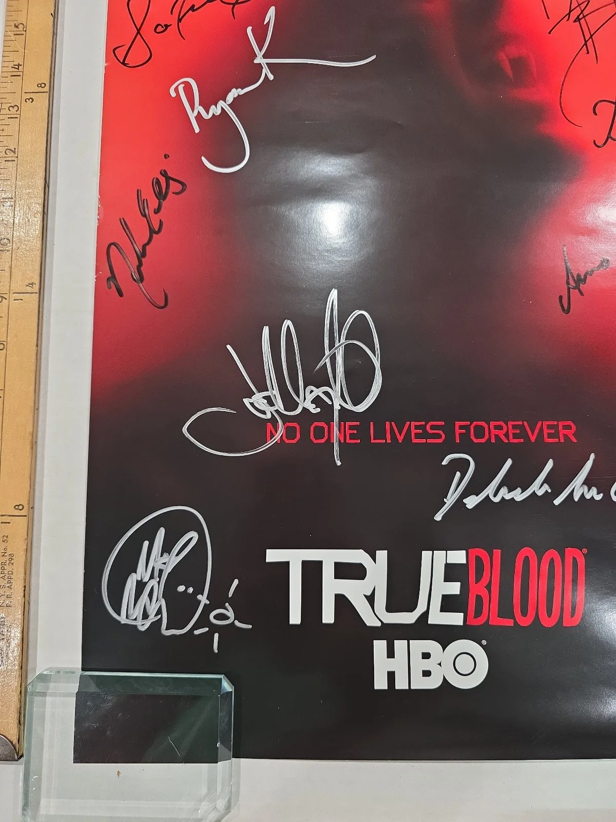 Anna Paquin, Nelsan Ellis, Joe Manganiello — True Blood Signed Cast 13X20 Poster 11 Autos Paquin Ellis Woll Bauer Etc JSA LOA, изображение 3