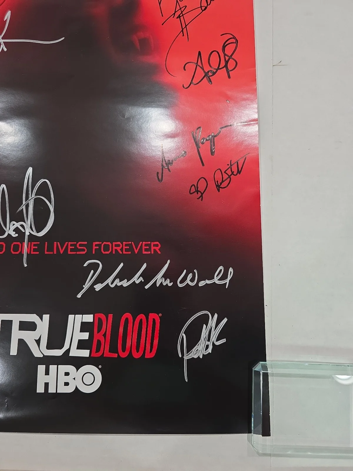 Anna Paquin, Nelsan Ellis, Joe Manganiello — True Blood Signed Cast 13X20 Poster 11 Autos Paquin Ellis Woll Bauer Etc JSA LOA, изображение 5