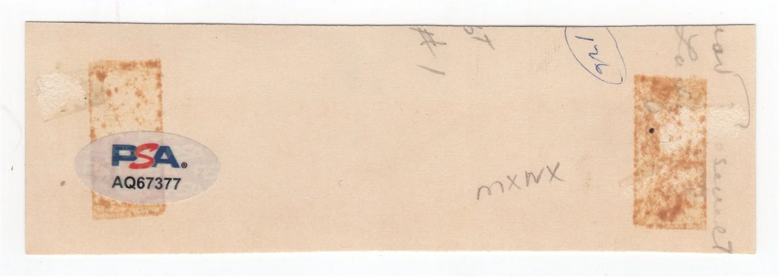 ELEANOR ROOSEVELT — ELEANOR ROOSEVELT Signed Cut PSA/DNA First Lady, image 2