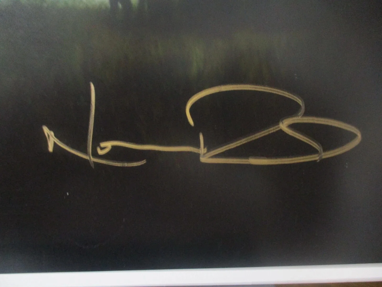NORMAN REEDUS — NORMAN REEDUS THE WALKING DEAD AUTOGRAPHED/SIGNED 11X17 POSTER JSA CERTIFIED, image 2