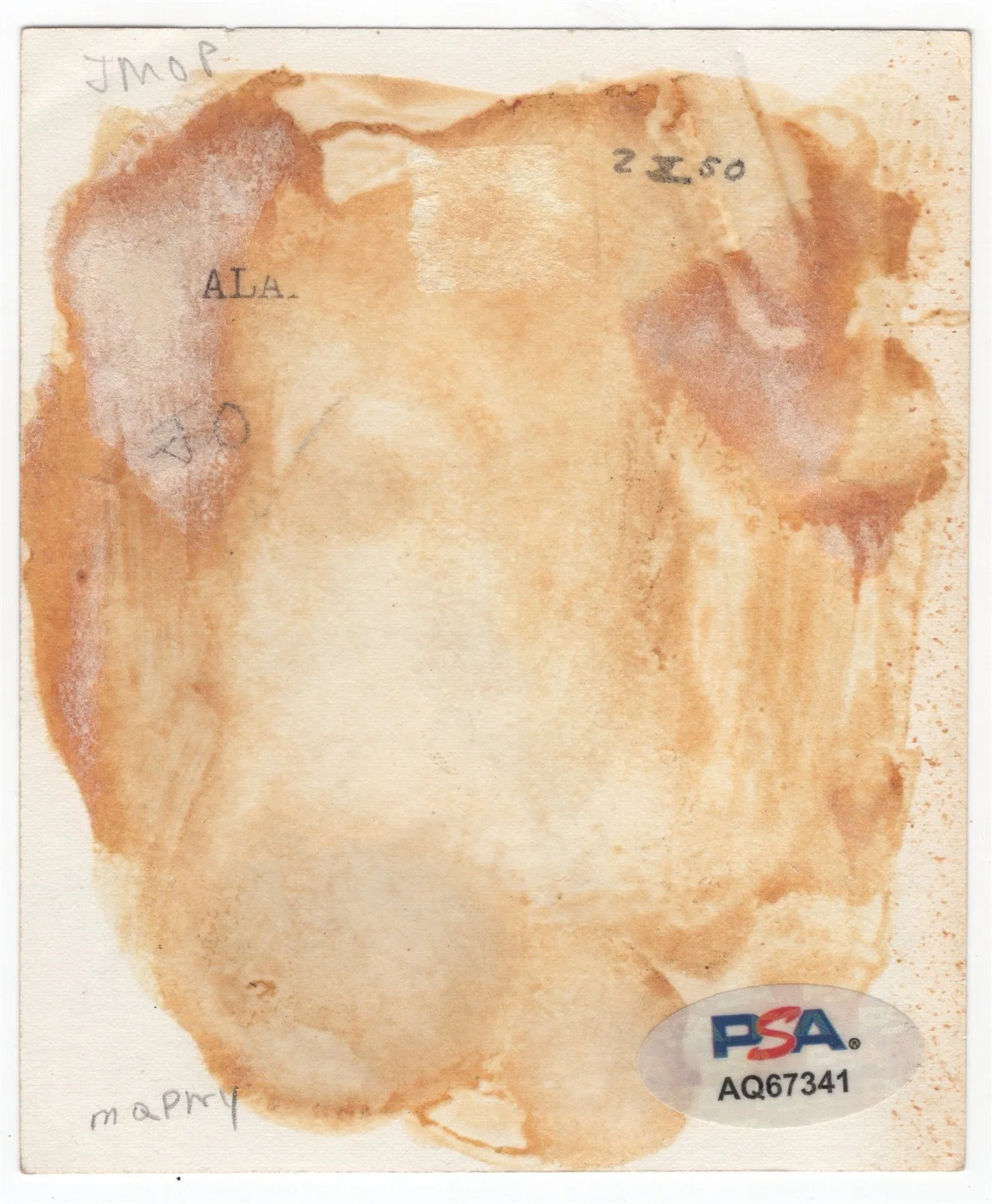 ALAN LADD — ALAN LADD Signed 3x4 Photo PSA/DNA American Actor, изображение 2
