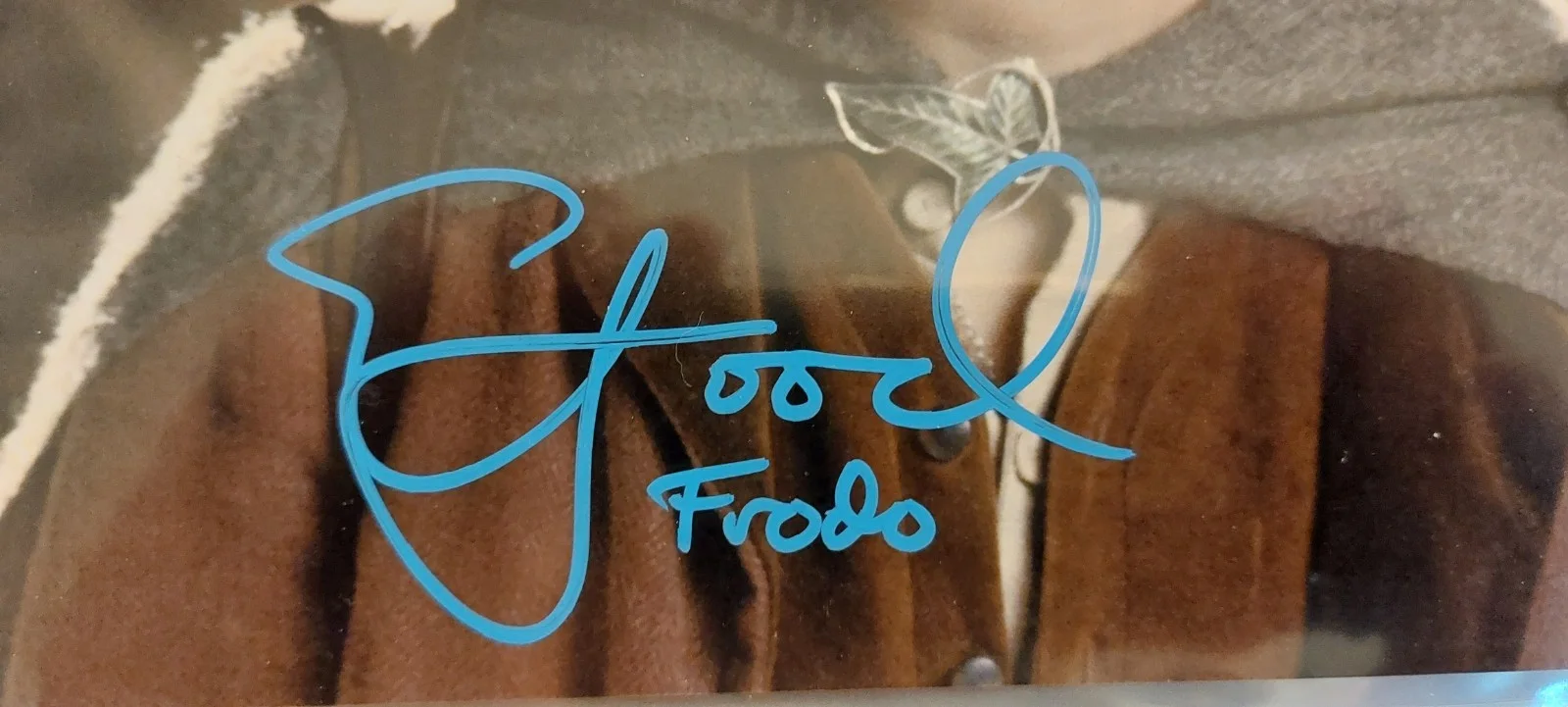 Elijah Wood — Elijah Wood Autographed Lord of the Rings Frodo Baggins 8x10 Scene Photo JSA, изображение 2